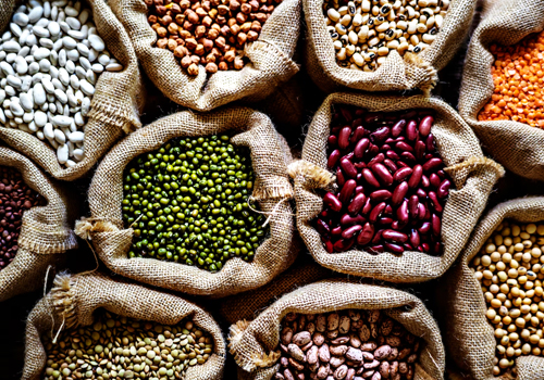 Top Agricultural Product exporters in Alappuzha